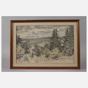 Richard Grimm-Sachsenberg, Blick ins Vogtland