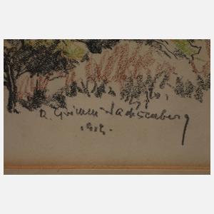 Richard Grimm-Sachsenberg, Blick ins Vogtland