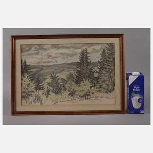 Richard Grimm-Sachsenberg, Blick ins Vogtland