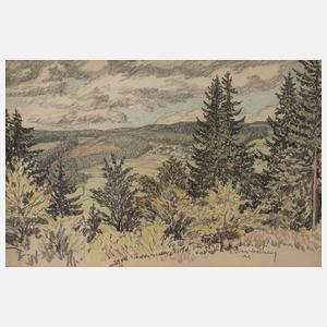 Richard Grimm-Sachsenberg, Blick ins Vogtland