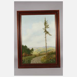 Minni Herzing, "Blick über blühende Wiesen und Wälder"