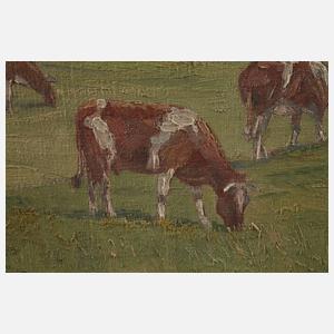 Hans Münnich, "Im Kaisergebirge"