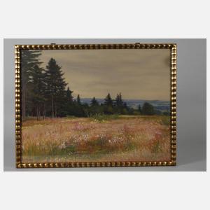 Albin Schlehahn, Am Waldrand