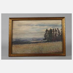 Albin Schlehahn, "Fernblick bei Jocketa"