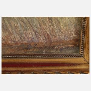 Albin Schlehahn, "Fernblick bei Jocketa"