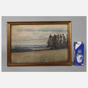 Albin Schlehahn, "Fernblick bei Jocketa"