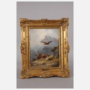 Moritz Müller, Gämse auf der Flucht