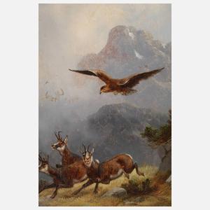 Moritz Müller, Gämse auf der Flucht