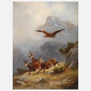 Moritz Müller, Gämse auf der Flucht