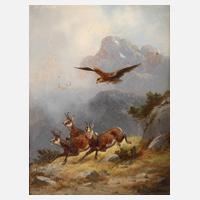 Moritz Müller, Gämse auf der Flucht111