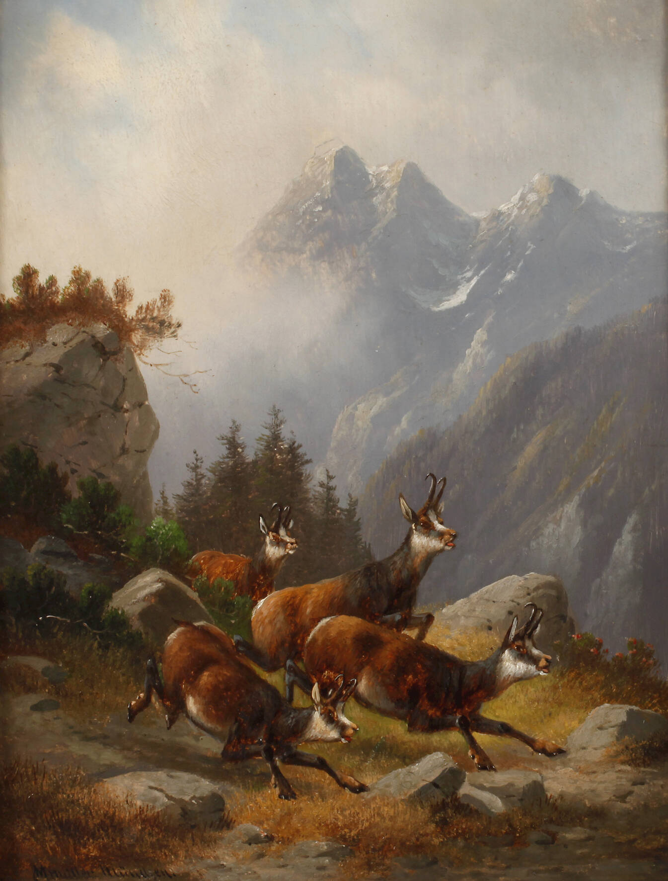 Moritz Müller, Aufgeschreckte Gämse