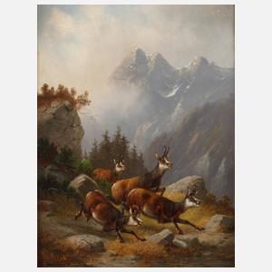 Moritz Müller, Aufgeschreckte Gämse