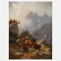 Moritz Müller, Aufgeschreckte Gämse111