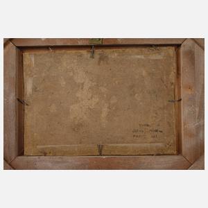 Prof. Jules Noel, attr., Gestrandetes Schiff