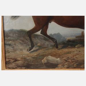 Prof. Alexander Schwabe, Trabendes Pferd