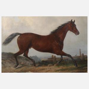 Prof. Alexander Schwabe, Trabendes Pferd