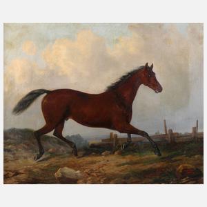 Prof. Alexander Schwabe, Trabendes Pferd