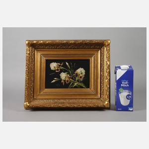 Spoy, Irisstillleben