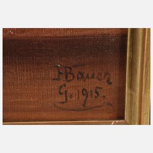 Prof. Hans Bauer, Kirschstillleben