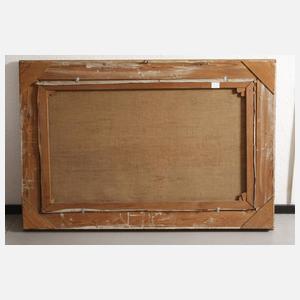 Henry Enfield, Blick ins Sognefjord