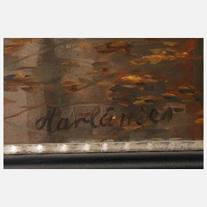 Hans Harländer, Impression aus Holland