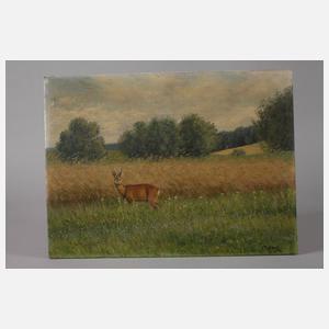 Christian Haug, Rehbock am Feldrain