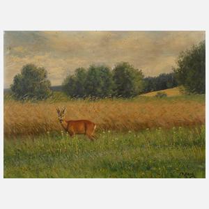 Christian Haug, Rehbock am Feldrain