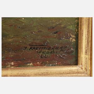 Johan Hendrik Kaemmerer, Flache Landschaft