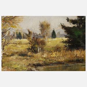 Kopf, "Dachauer Moor"