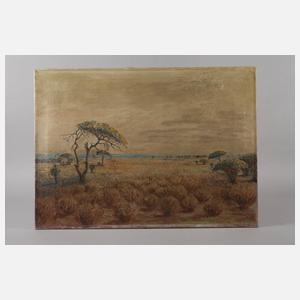 C. W. Michatz, Steppenlandschaft