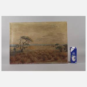 C. W. Michatz, Steppenlandschaft