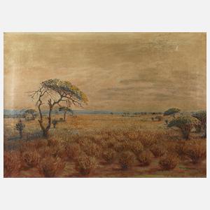 C. W. Michatz, Steppenlandschaft