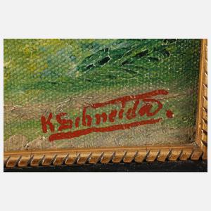 K. Schneider, Einsames Bauernhaus