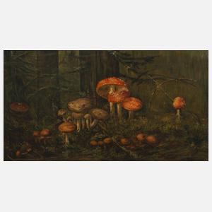 H. Steiniger, Pilze im Wald