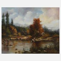 P. Waigner, Enten im Anflug111