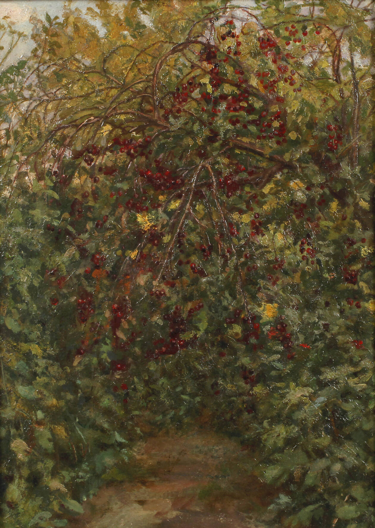 Rote Beeren am Strauch