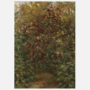 Rote Beeren am Strauch