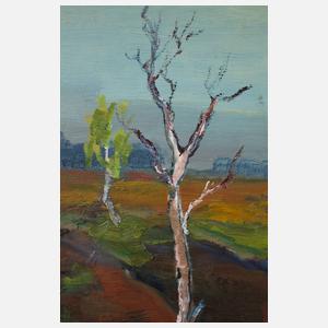 Landschaft mit Birke