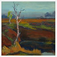 Landschaft mit Birke111