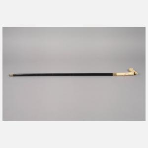 Spazierstock Bein