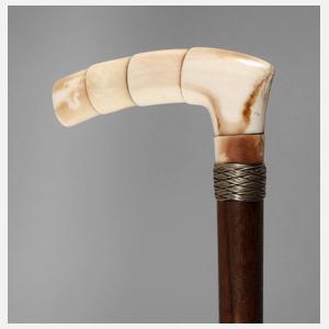 Spazierstock Bein