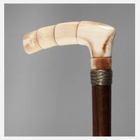 Spazierstock Bein111