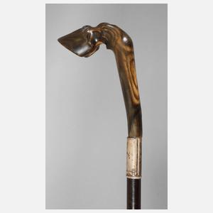 Spazierstock Horn