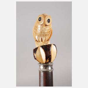 Spazierstock Taguanuss