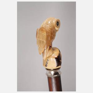 Spazierstock Taguanuss