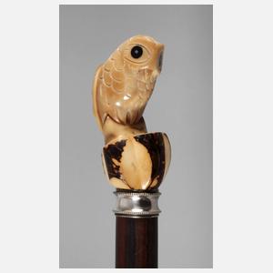 Spazierstock Taguanuss