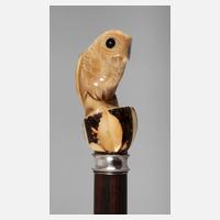 Spazierstock Taguanuss111