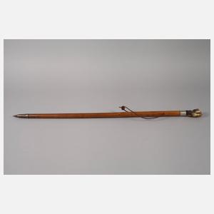 Spazierstock Horn