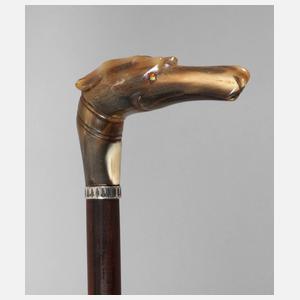 Spazierstock Horn