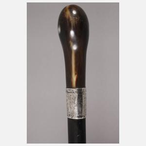 Spazierstock Horn